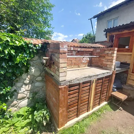 калина Kalina